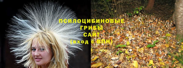 прущая мука Куйбышев