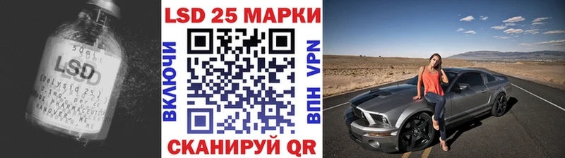 Купить закладки  Удомля  Лсд 25 экстази кислота 
