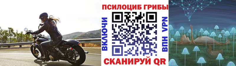 Купить где  Удомля  Галлюциногенные грибы ЛСД 